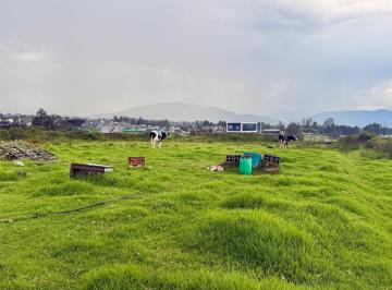 Terreno / Lote · 9535ha · Vendo Terreno de 1 Ha en Tababela (Redondel Aeropuerto y Vía Pifo El Quinche)