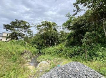 Terreno / Lote · 10ha · Vendo Terreno de 12.000 m² en El Puyo (Detrás del Banco Pichincha)