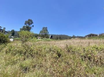 Terreno / Lote · 10ha · Vendo Terreno de 5.171 m² en Yanazarapata (Cerca Al Colegio Terranova)