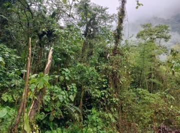 Hacienda-Quinta , El Chaco · Finca Turística y Ganadera en Chaco – Napo