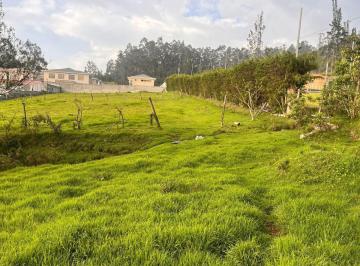 Terreno / Lote · 3135m² · Terreno de 3135 m² en Venta en Pifo Ideal Para Proyecto Inmobiliario