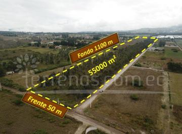 Terreno / Lote · 55000m² · Venta de Terreno en Malchingui 55000 m²