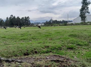 Terreno / Lote · 8973m² · Terreno de Venta en El Valle de Los Chillos, Sector Inchalillo. 8973 m.
