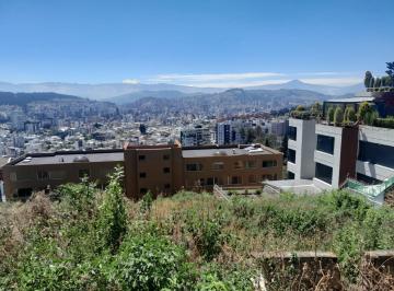 Terreno / Lote · 1647m² · Terreno en Venta en Colinas de Pichicha 1647 m.