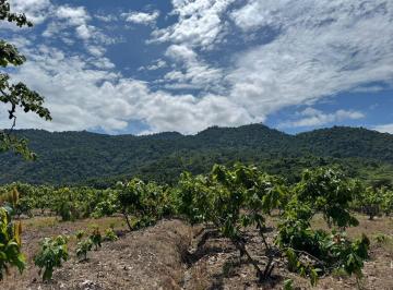 Terreno / Lote · 3100000m² · Vendo Hacienda en Sector Churute Guayas