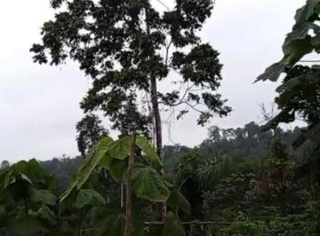 Hacienda-Quinta · 60ha · Venta Hacienda con Cacao, Cantón Muisne - Parroquia Daule, Área: 60.36 Hectáreas, Precio: $125.000