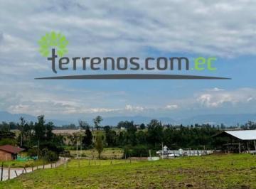Terreno / Lote · 155200000m² · Terreno de Venta en Tababela de 15.520 m², Sector Oyambarillo