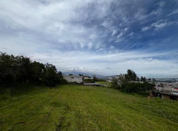 Terreno / Lote , Cayambe · En Venta Terreno 1200 M²en El Centro de Cayambe