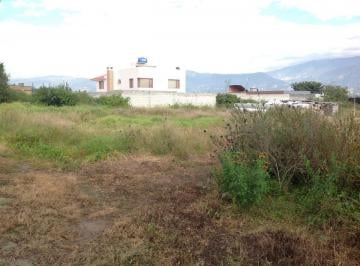 Terreno / Lote · 4149ha · Venta Terreno de 4149 m² Oportunidad en Tumbaco Calle Aurelio Dávila