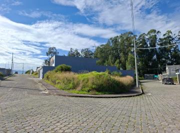 Terreno / Lote , Quito · Terreno Premium de 700 m² Estilo Quinta Residencial | a 4 Minutos del Colibri Vía a Píntag