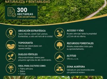Terreno / Lote , San Lorenzo · Terreno de 300 Ha en Venta en Centro de San Lorenzo, Provincia de Esmeraldas
