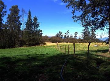 Terreno / Lote · 917832ha · Terrenoterreno en Venta Sector Inga, 91,78 Has, Hacienda, Ruta E35