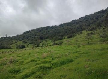 Terreno / Lote , Quito · Invierte en Paz y Naturaleza! Terrenos Dentro de Santuario Natural. en Venta!