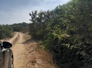 Terreno / Lote , Guayaquil · En Venta Terreno Agricola 100 Hectáreas, Vía a La Costa Km 44