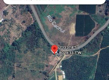 Terreno / Lote , Guayaquil · Venta Finca 30 Ha Vía a Limoncito, Km 30 Vía La Costa a La Derecha, Sector Limoncito - Juntas