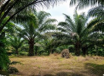 Hacienda-Quinta · 870000m² · 1 Habitación · Finca de 87 Has Agro Forestalen El Carmen