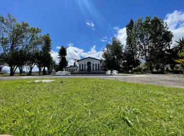 Hacienda-Quinta de 3 habitaciones, Quito · Quinta de Renta / Independiente / Tabacundo / Quito.