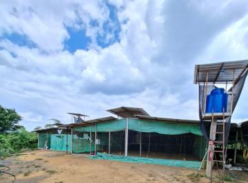 Hacienda-Quinta · 30000m² · Granja Avícola en Producción en Venta | 3.7598 Ha – Sta. Elena