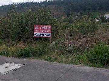 Terreno / Lote , Ambato · Terreno Ideal Para Proyecto Ambato Zona en Crecimiento