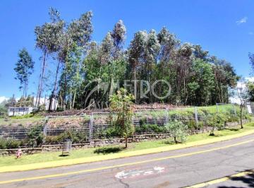 Terreno / Lote , Quito · Terreno de 3.173 m² en Venta Dentro de La Urbanización Campo Alegre