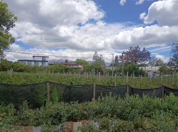 Terreno / Lote · 150m² · Terreno Entre El Quinche y Guayllabamba