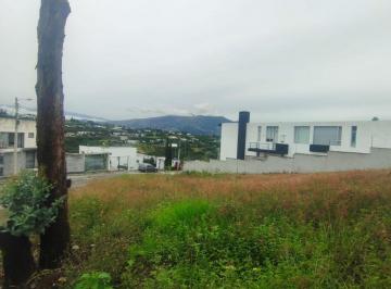 Terreno / Lote , Quito · En Venta Exclusivo Terreno Espectacular en Nayon