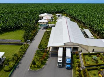 Terreno / Lote · 5150000m² · Bananera en Venta | 515 Hectáreas, Los Ríos