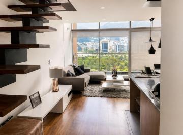 Suite · 75m² · 1 Habitación · 1 Estacionamiento · Renta Suite Amoblada en República de El Salvador, 75 m²