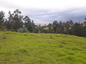 Terreno / Lote · 15000m² · Oportunidad Para Constructores, Terreno en Venta, Alangasí - Los Chillos