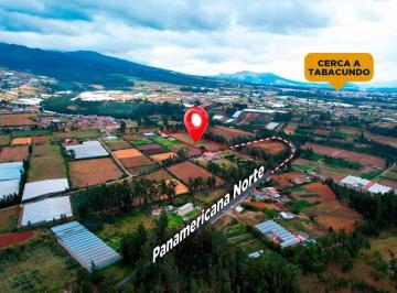 Oficina comercial , Pedro Moncayo · Terreno en Tomalón, Tabacundo