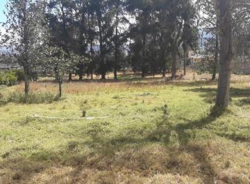 Terreno / Lote · 14500m² · Hermoso Terreno en Venta! Puembo