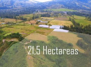 Hacienda-Quinta · 21m² · Hacienda/terreno en Venta – Sector Cadena, Ibarra, Imbabura