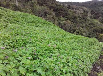 Terreno / Lote , Paute · Terreno de Venta Sector Las Juntas Guarainag T218