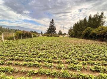 vista general · Venta Terreno 1.000 m² en Tababela – Ideal Casa o Quinta – Escritura y Servicios