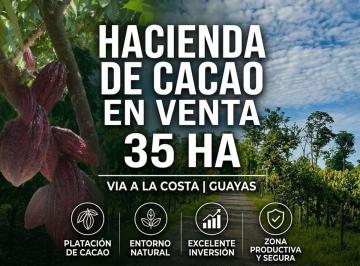 Hacienda-Quinta , Guayaquil · Finca Productiva en Venta 35ha - Via a La Costa - m. Garcia