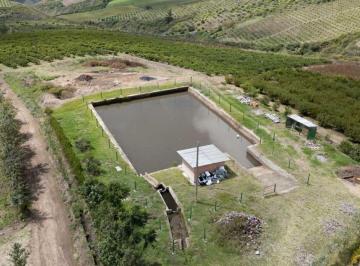 Hacienda-Quinta , Mira · Mira $840.000 Finca Productiva 20 Hectáreas Genera $140.000/año
