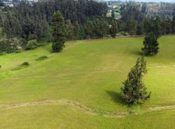 Terreno / Lote , Quito · 12 Hectáreas con Alto Potencial Industrial y Logístico a Minutos de Tababela y La E35