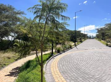 Terreno / Lote · 1m² · Terreno de Venta en Tumbaco, Dentro de La Espectacular Urbanización Napakuna, Vista, Amenities