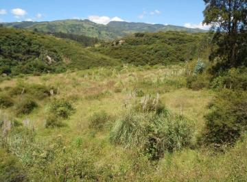 Terreno / Lote , Quito · Vendo 44.275 m² a La Via E - 35 Sector El Inga