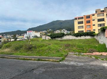Terreno / Lote , Quito · Terreno en Venta, Pinar Alto, Sector El Bosque, Norte de Quito