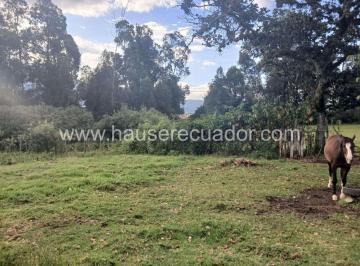 Terreno / Lote · 4866m² · Terreno de 4.865 m² en Venta en Inchalillo, Sangolquí, Ideal Para Vivienda o Proyecto Inmobiliario.