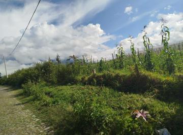 Terreno / Lote , Otavalo · En San Pablo, con Hermosa Vista a La Laguna Se Vende