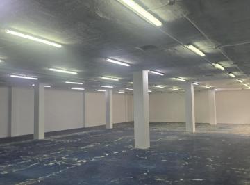 Bodega-Galpón · 600m² · Bodega Renta