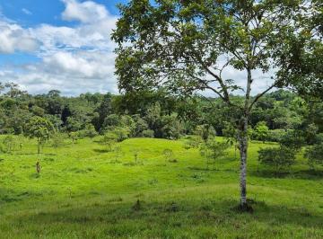 Hacienda-Quinta , Pedro Vicente Maldonado · Finca en Venta 12.860 m² - Pedro Vicente Maldonado, a 10 Minutos del Centro, con Salida Al Río.