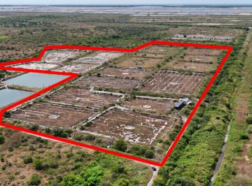 Terreno / Lote · 150m² · 3 Habitaciones · 10 Estacionamientos · Huaquillas, El Oro, Venta Terreno Para Camaronera 48.258 m² 5 Piscinas