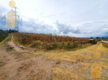 Terreno / Lote · 1m² · Terreno de Una Hectárea en Venta Sector Malchinguí