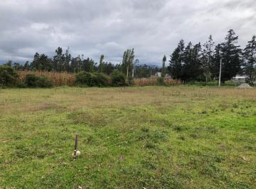 Terreno / Lote , Cotacachi · En Venta Bonito Lote de Terreno en Cotacachi