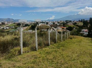Terreno / Lote , Quito · Vendo 2.000 m en Pifo Sector Florida de Chantag con Permisos Para Construir 4 Galpones