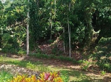 Terreno / Lote , Puerto Quito · Puerto Quto, Vendo Terreno 11154 m², Sembrios, Estero, Seguridad
