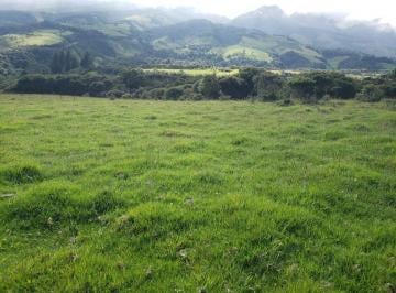 Hacienda-Quinta de 2 habitaciones, Otavalo · Mojanda, Otavalo, Vendo Hacienda con 92 Hect. de Terreno, 60 Son Tractorables, Agua Nace Finca, Casa